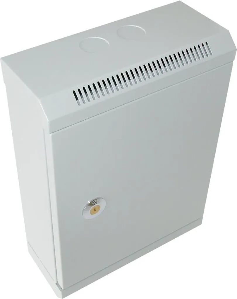 Armoire de Brassage Murale 420x300x130mm pour Centraliser Réseau et WiFi
