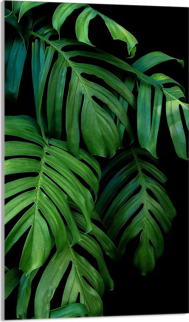 Glasschneidebrett 30x52 Monstera