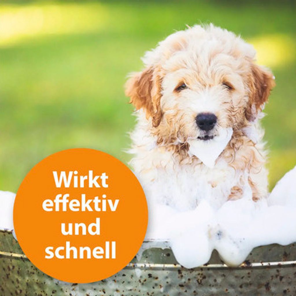 Ardap Anti Floh Hunde Shampoo 250Ml Produktbild 