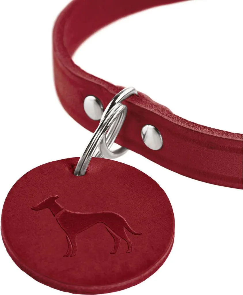 Hunter Aalborg Collare Pelle Rosso M | Stile e Robustezza 38-47cm - 3