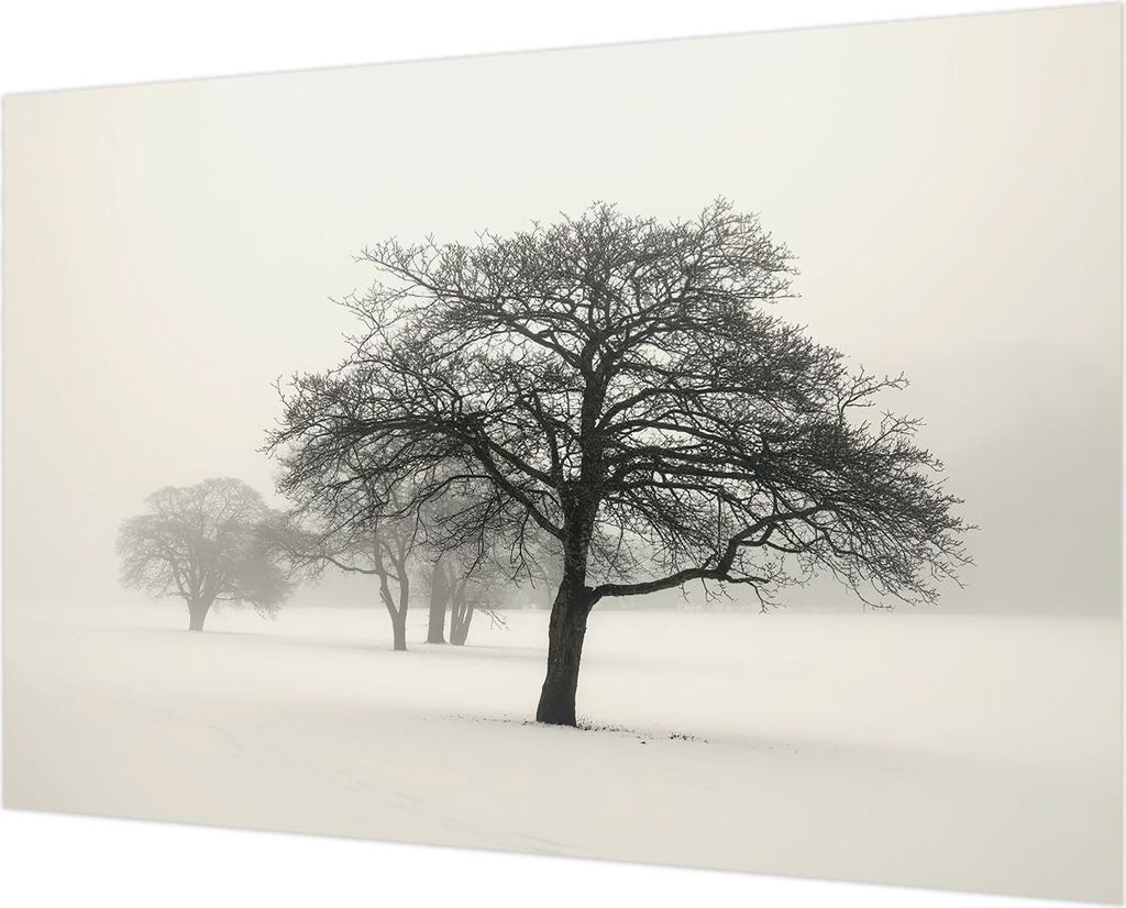 Wandtapete - Dekorative Tapete für Wohnzimmer - Tapetenfolie für Wanddekoration - 152x104 cm - Winterbäume