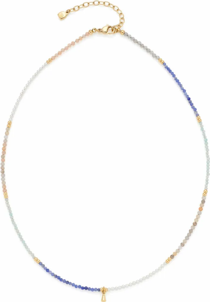 BOBIJOO JEWELRY - Collana Ciondolo Testa di Leone in Acciaio Inox Dorato Oro Rosso Rubino Occhi Catena