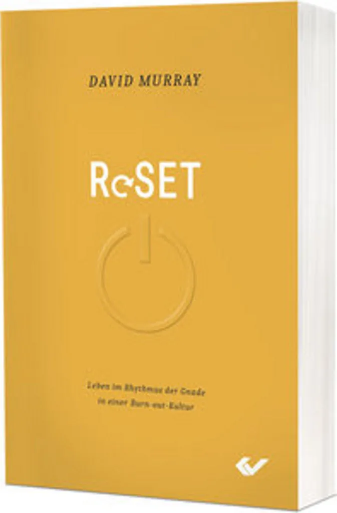 Guide de Guérison Burnout pour Hommes : Reset par David Murray, 200p