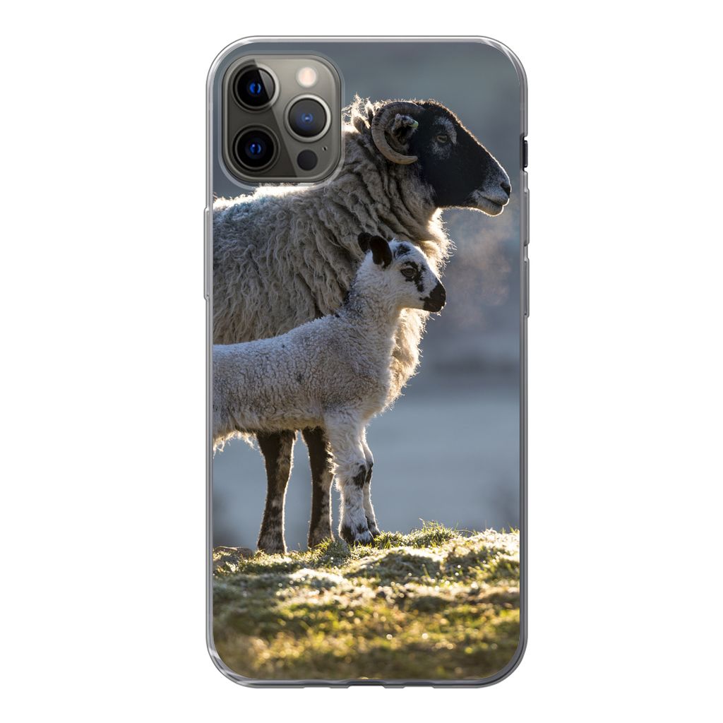 MuchoWow Handyhülle Schutzhülle Hülle für iPhone 13 Pro Max Schaf - Lamm - Sonne Silikon Softcase Handy Hülle - Mobiltelefon