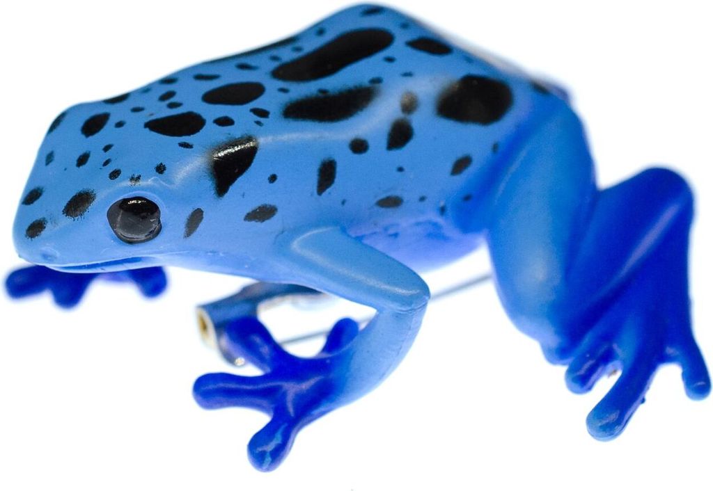 Giftfrosch Frosch Gummi Brosche Blauer Baumsteiger Pfeilgiftfrosch Anstecknadel Froschbrosche Blau