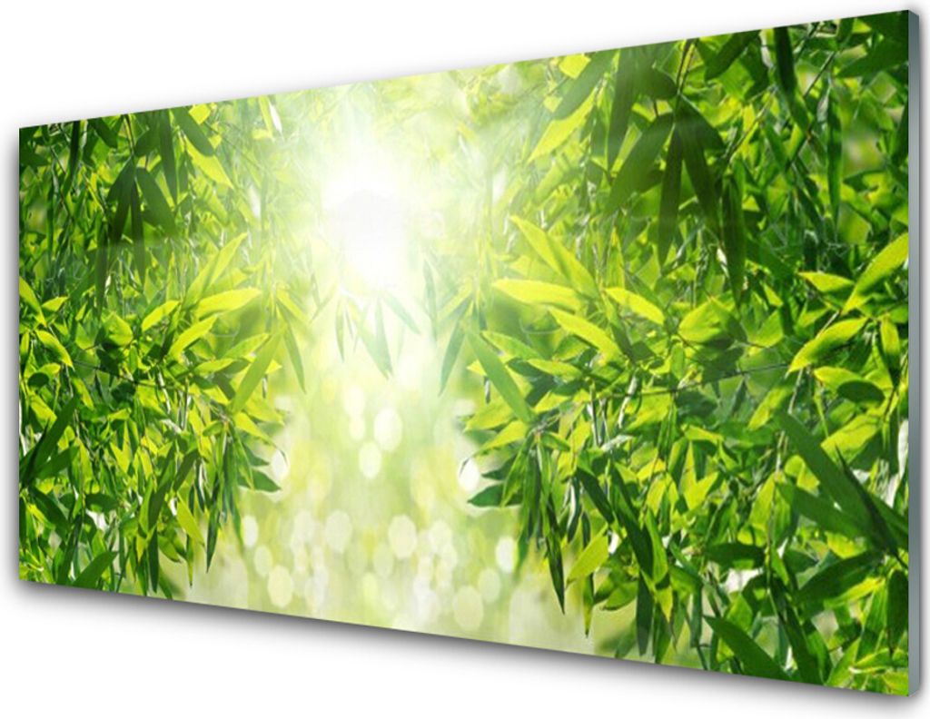 Acrylglasbilder 100x50 Wandbild Druck Blätter Natur
