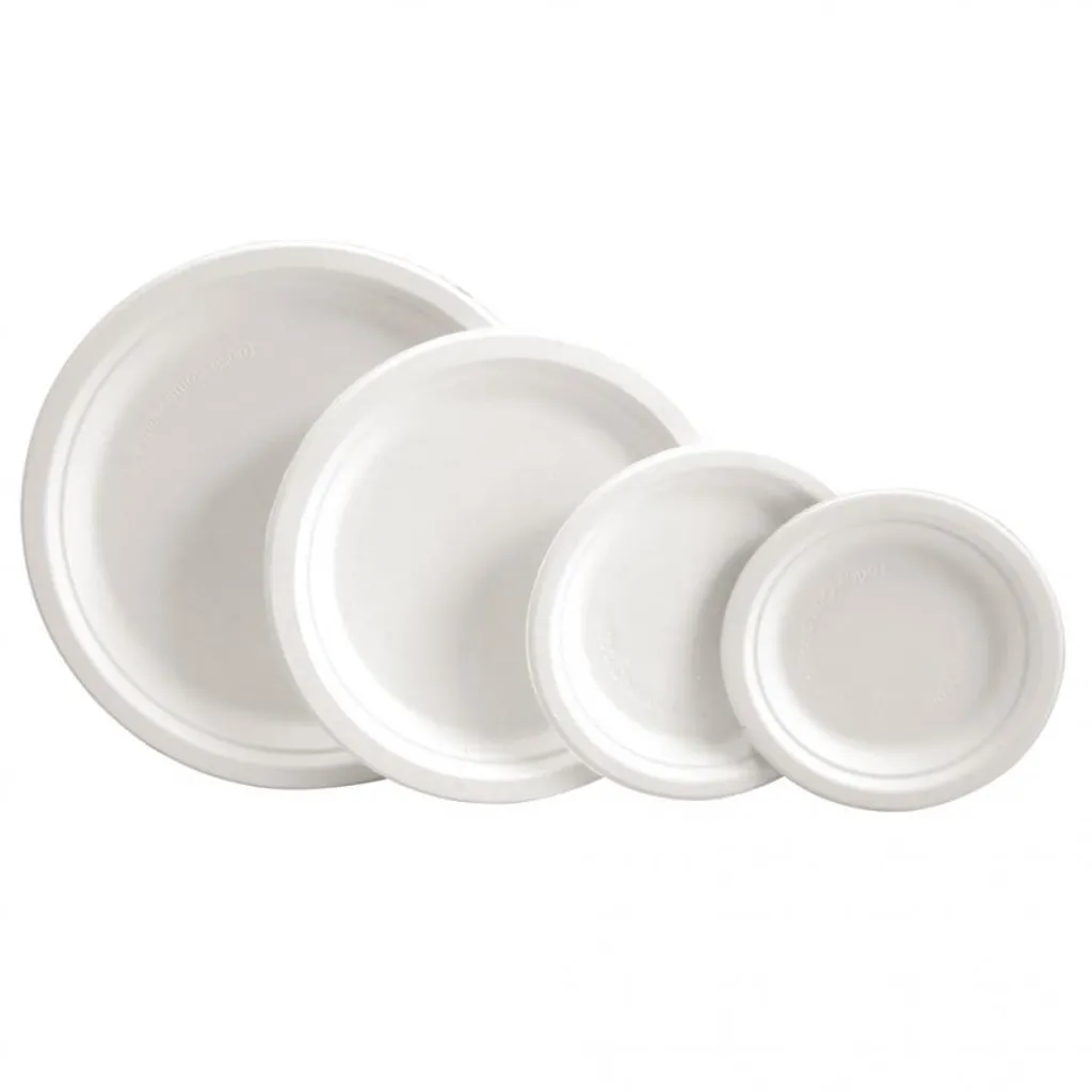 Assiettes Jetables Biodégradables en Canne à Sucre 23cm - Pack de 20 pcs