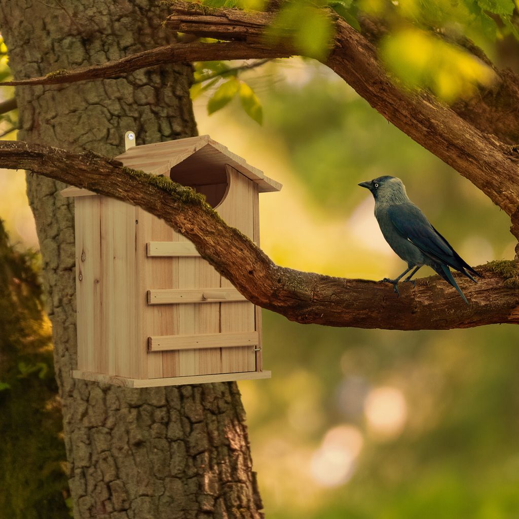relaxdays Eulen Nistkasten Holz Produktbild 5