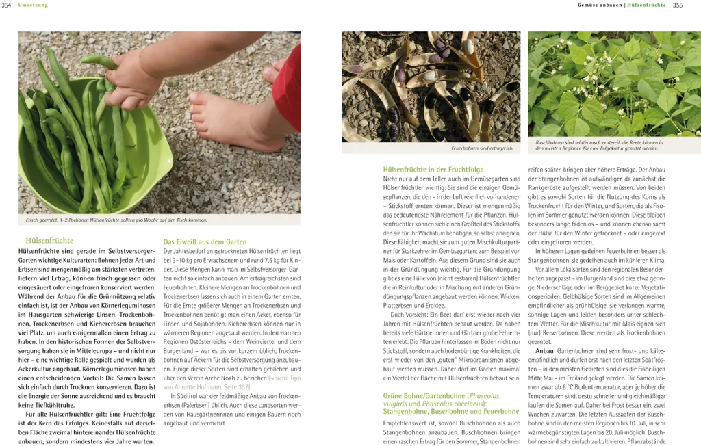 Produire ses Légumes Bio : Solution Complète pour l'Autosuffisance
