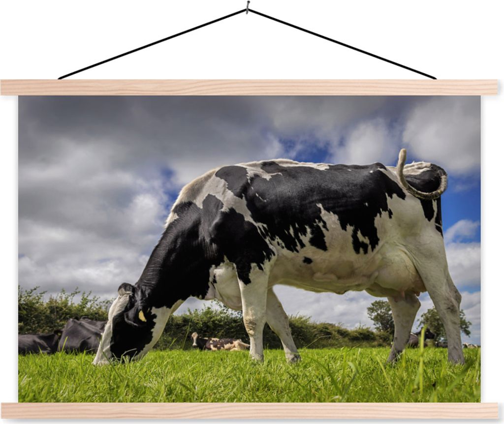 MuchoWow Textilposter Kuh - Gras - Schwanz - Tiere 60x40 cm mit holzfarbenen Rahmen - Bilder