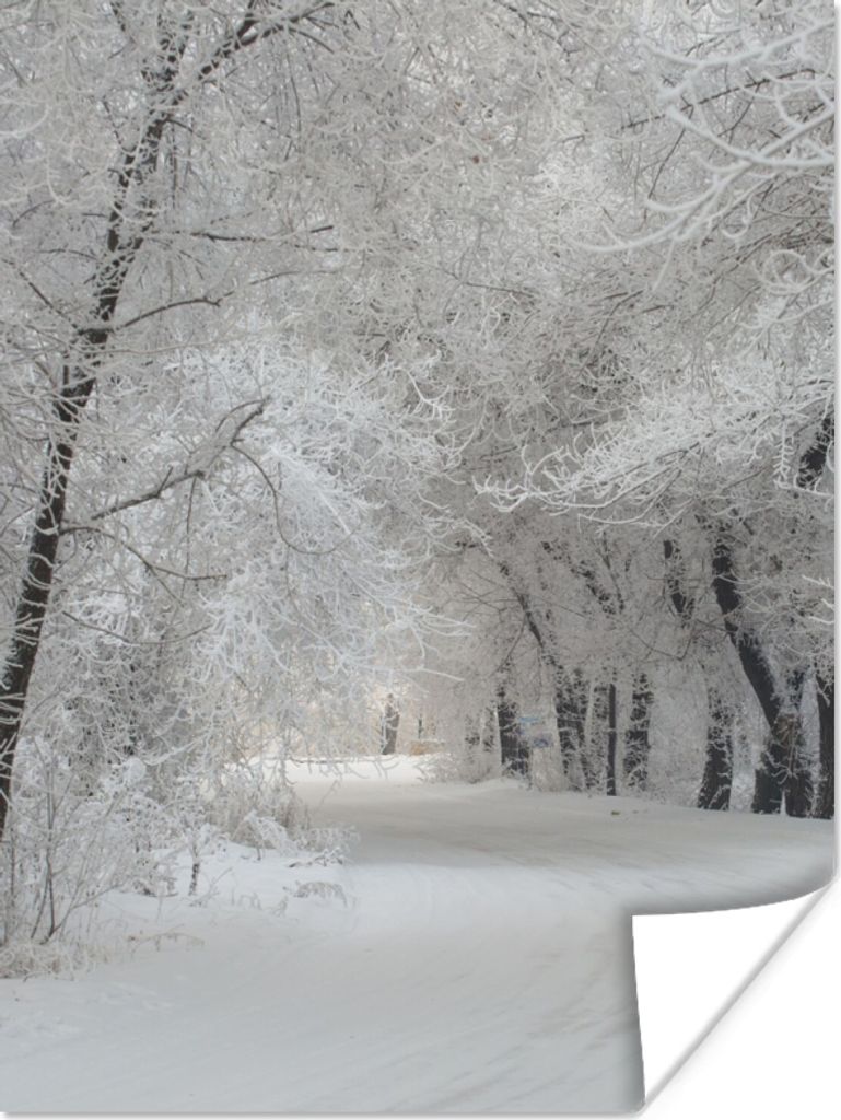 MuchoWow Poster Bäume - Schnee - Winter 30x40 cm - Wandplakat - Poster Kinderzimmer