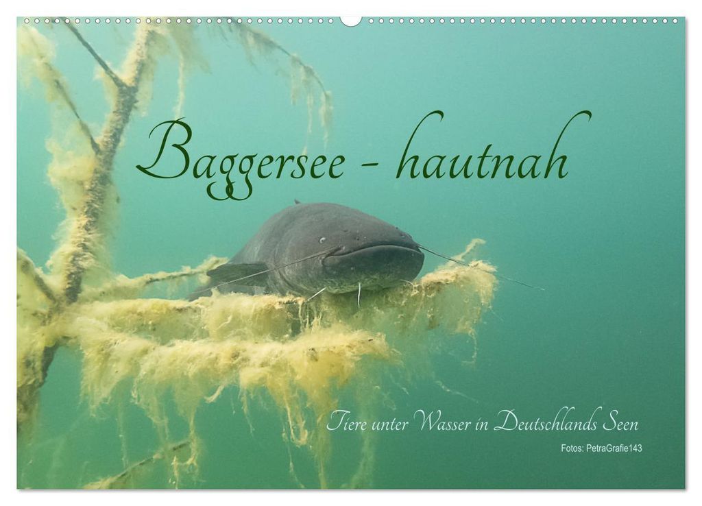 Baggersee -hautah (Wandkalender 2027 DIN A2 quer), CALVENDO Monatskalender