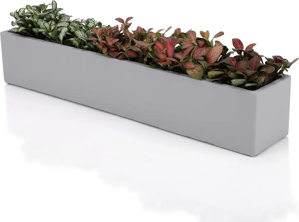 Ten-stone Jardinière Rectangulaire 37cm en Béton Gris pour Succulentes