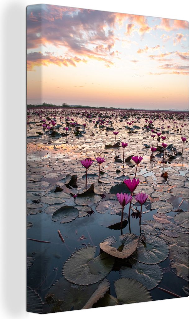 MuchoWow - Leinwandbilder - Meer - Lotus - Thailand, Wandbild, Wanddeko Bilder Wohnzimmer, 80x120 cm