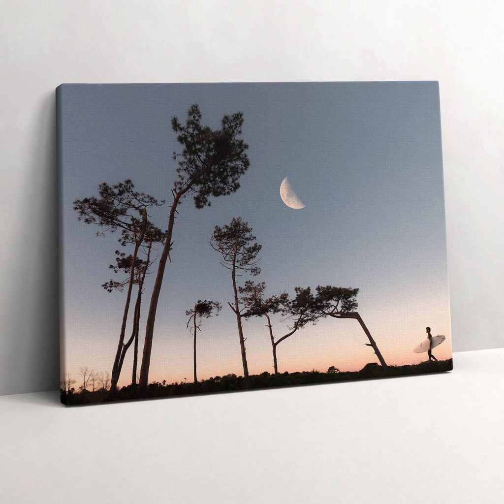 Mondsichel und Bäume – Leinwandbild Wandbild – 80x60 cm – Leinwandbilder – Wandbilder – Schlafzimmer – Flur