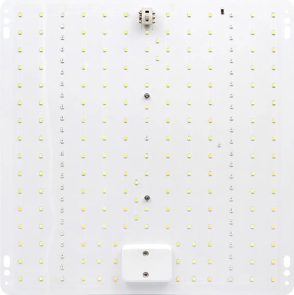 Lampe LED spectre complet pour plante succulente et semis intérieur