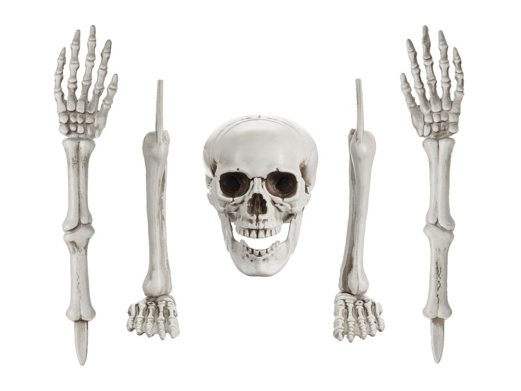Deko Skelett Knochen 22-44cm Kunststoff 5er Set Weiß Produktbild 