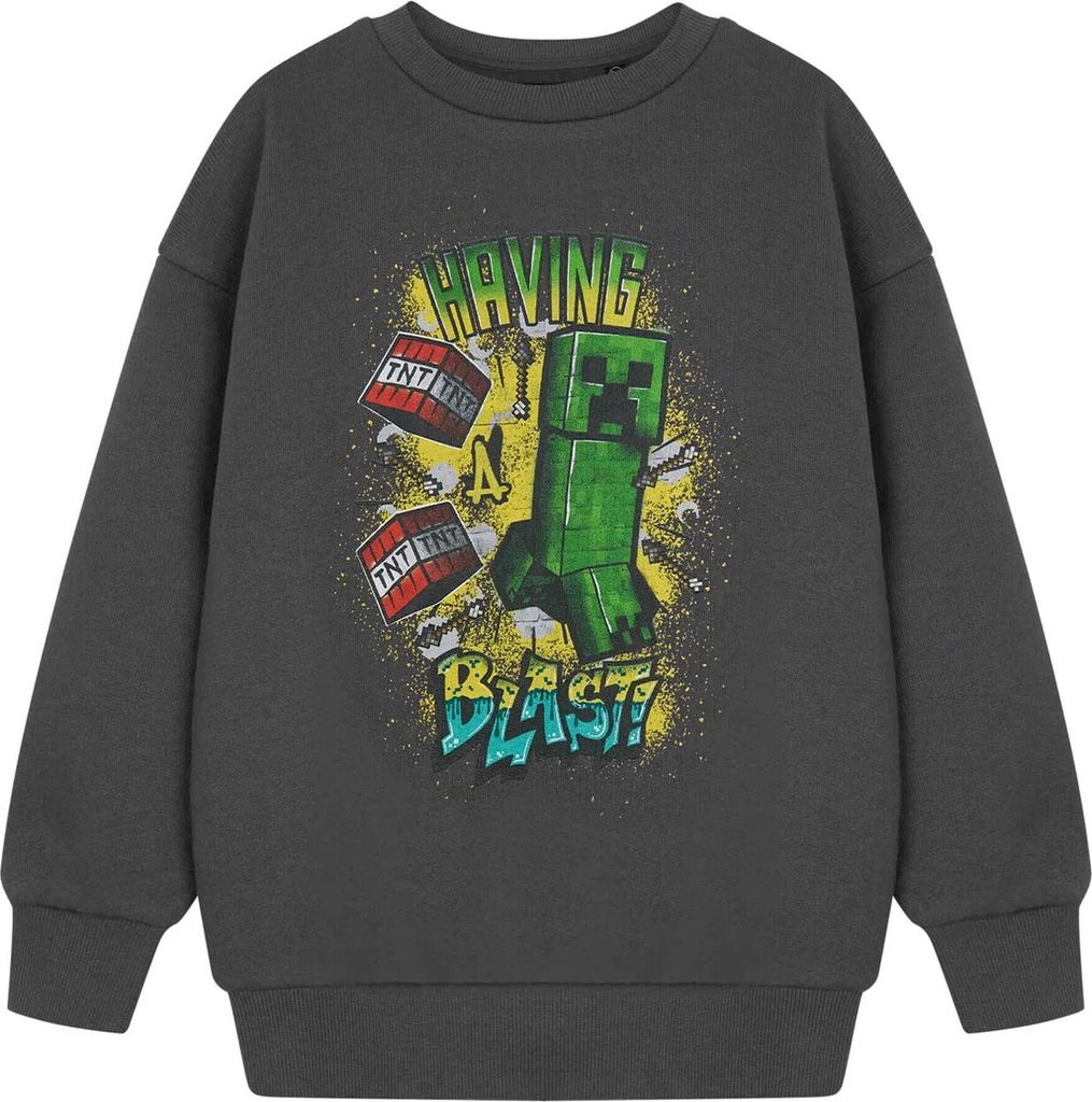 Minecraft - "Having A Blast" Sweatshirt für Jungen NS8948 (140) (Grau)