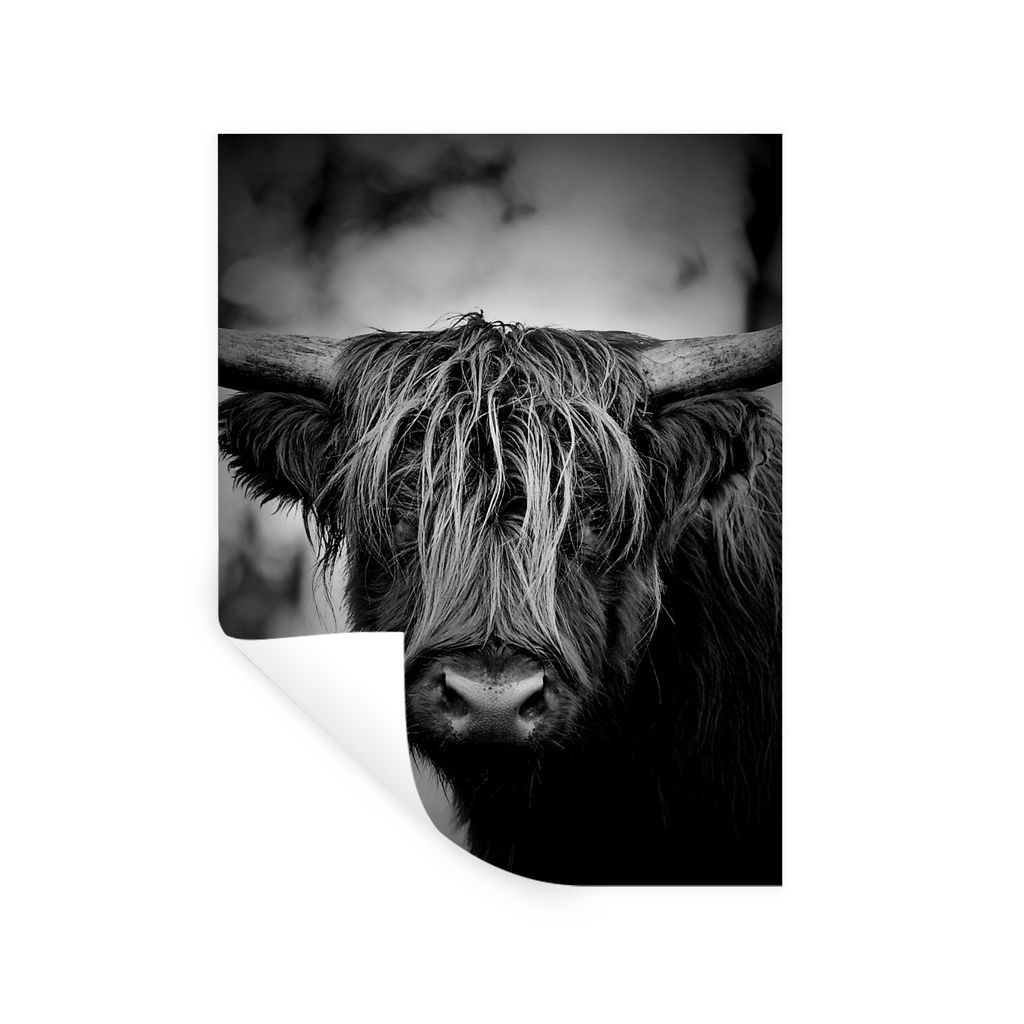 MuchoWow Wandtattoo Wandsticker Wandaufkleber Schottischer Hochländer - Licht - Porträt - Natur 60x80 cm Selbstklebend und Repositionierbar - R...