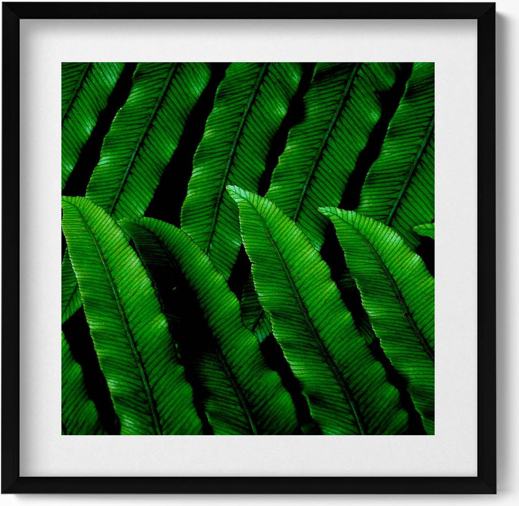 Grüne Blätter in Nahaufnahme– Wandbild mit Rahmen – Gerahmtes Bild – Wanddekoration – 50x50 cm – Schwarz Rahmen