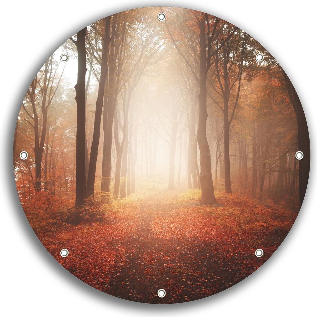 Wallario rundes Outdoor-Poster für Garten oder Balkon, Motiv Herbstwald - Weg zu einer Lichtung im Wald, 30 cm Durchmesser