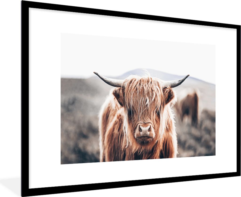MuchoWow Gerahmtes Poster Schottischer Highlander - Berg - Hoorn 90x60 cm - Poster mit Schwarzem Bilderrahmen Wandposter Rahmen Foto Bilder - Wan...