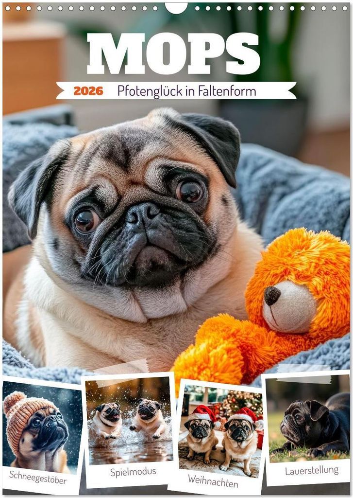 MOPS Pfotenglück in Faltenform (Wandkalender 2026 DIN A3 hoch), CALVENDO Monatskalender