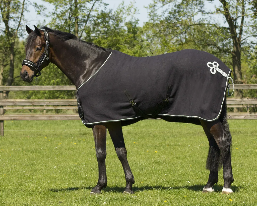 Coperta Cavallo QHP Pile 240g Ornament 195cm | Asciugatura Post-Lavoro