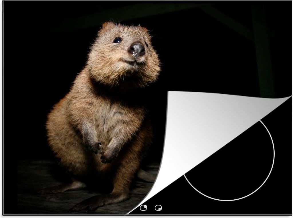 KitchenYeah Herdabdeckplatte Brauner Quokka , 59x51cm, Küche Deko, Glaskeramikkochfeld Herdabdeckung, Abdeckplatte fùr Kochfeld