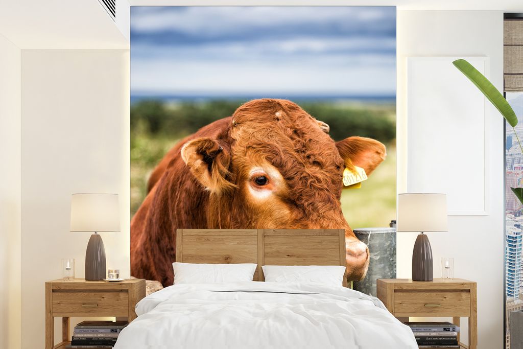 MuchoWow Fototapete für Wohnzimmer oder Schlafzimmer Wandtapete Vinyl Motivtapete Schottischer Highlander - Berg - Zaun - 190x260 cm - Papiertapete