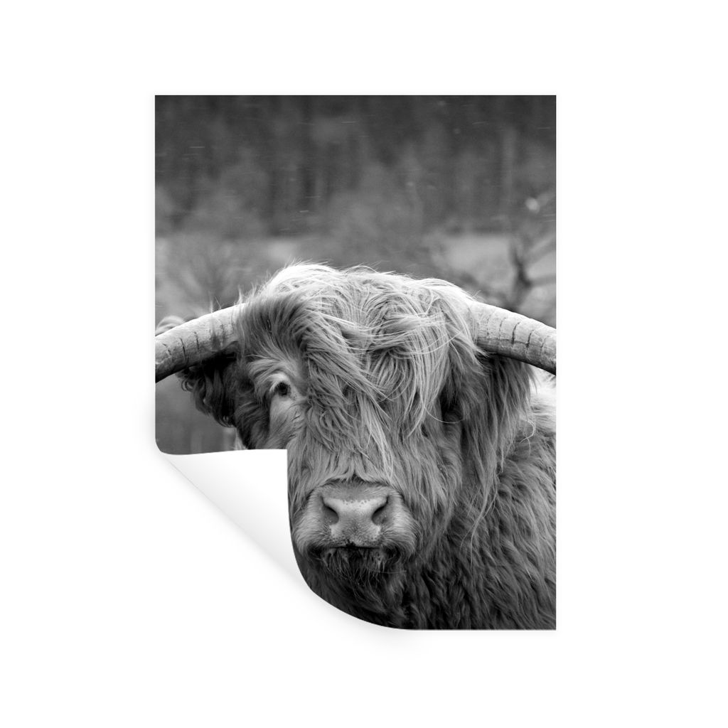 MuchoWow Wandtattoo Wandsticker Wandaufkleber Schottischer Highlander - Kuhkopf - Landschaft - Natur - Kuh 60x80 cm Selbstklebend und Repositioni...