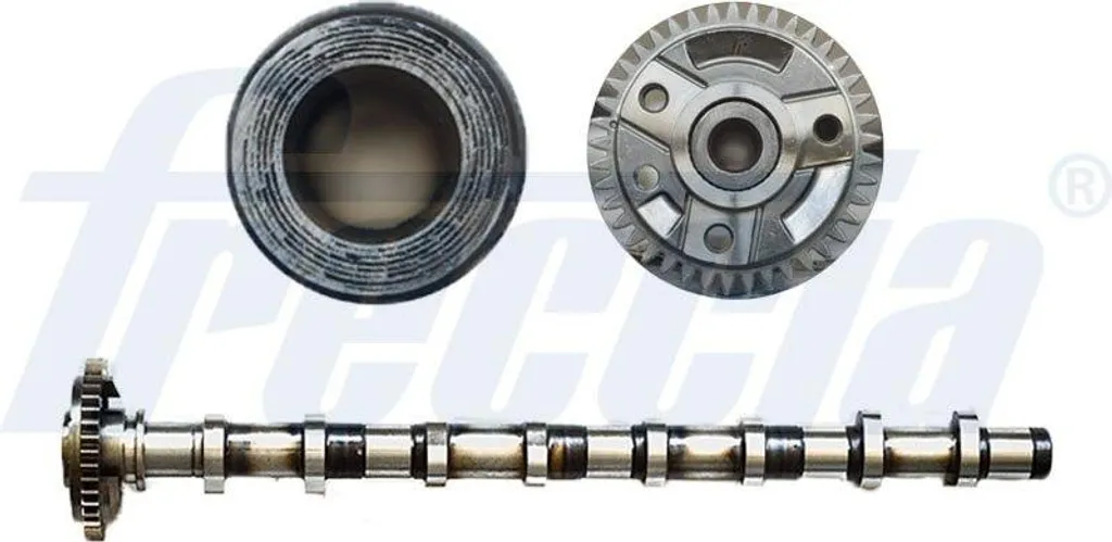 Restaura il Motore con l'Albero a Camme FRECCIA CM05-2187 2.5 TDI