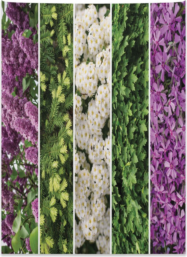 Abakuhaus Blume Wandteppich, Blooming Bouquet Romantik aus Weiches Mikrofaser Stoff Kein Verblassen Klare Farben Waschbar, 110 x 150 cm, Violett Grün