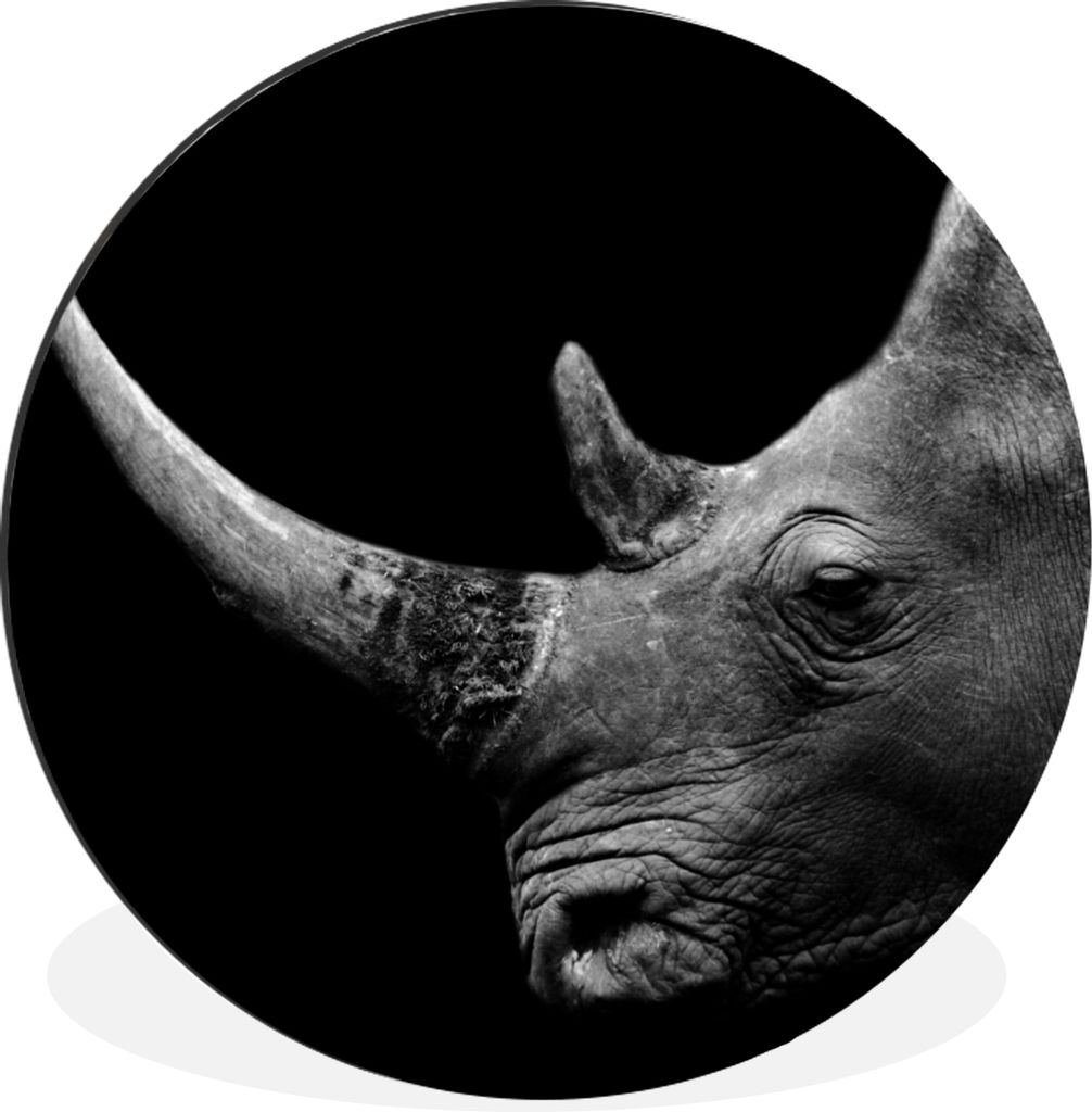 MuchoWow Aluminium Wandkreis Nashorn - Tiere - Schwarz - Weiß - Porträt Ø 60 cm Wanddeko Modern Wohnzimmer - Wand Kreis - Wandbild - Schlafzim...
