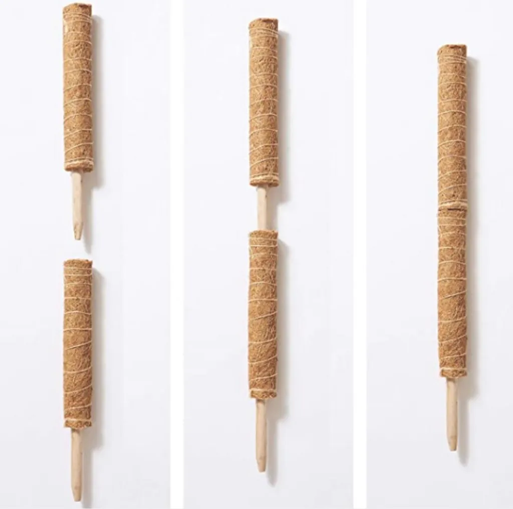 Tuteur coco naturel 450mm avec extension modulable pour Monstera - 4Pcs - 7