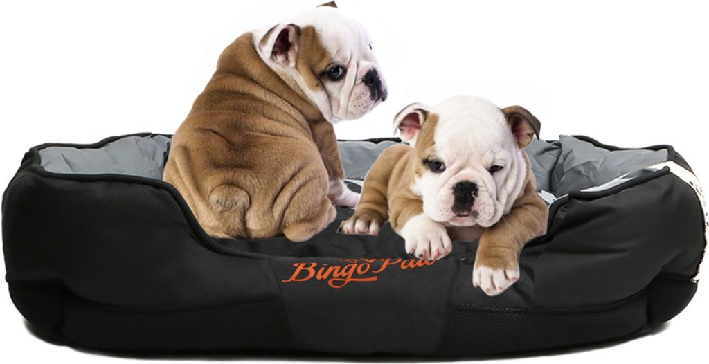 WISFOR Lit pour chien Coussin pour chien Corbeille pour Image du produit 