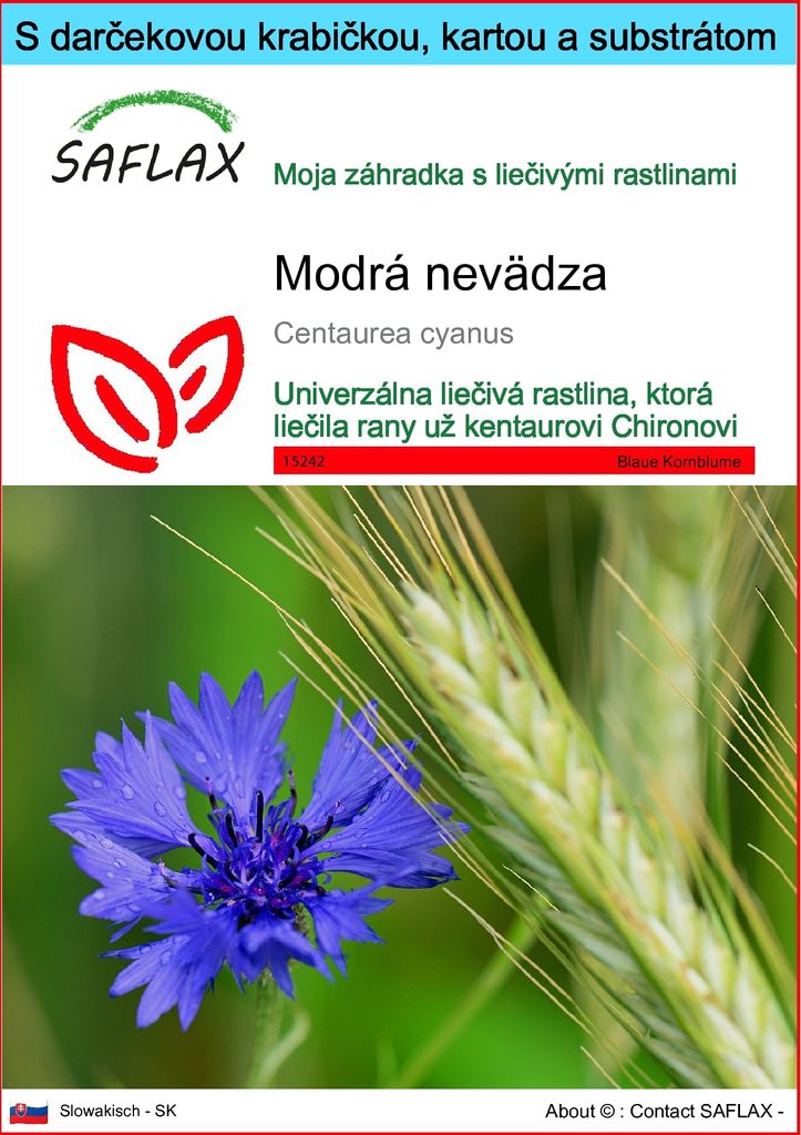 SAFLAX Darčeková sada - Modrá nevädza - Centaurea cyanus - Obrázok produktu 