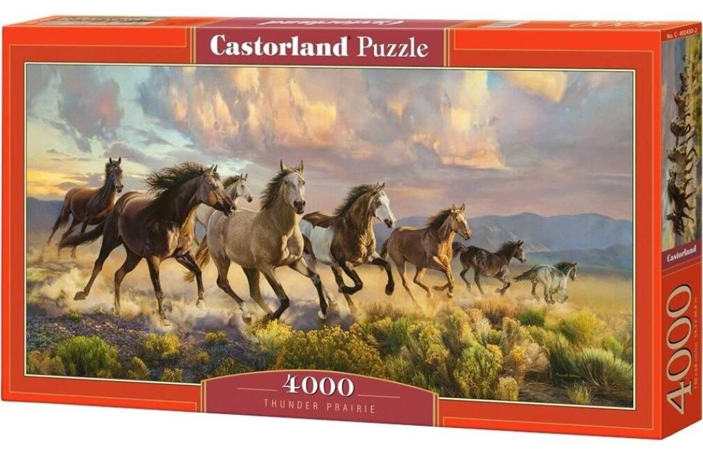 CASTORLAND Puzzel, Goudvogel, 4000 stukjes, Poppen Productafbeelding 