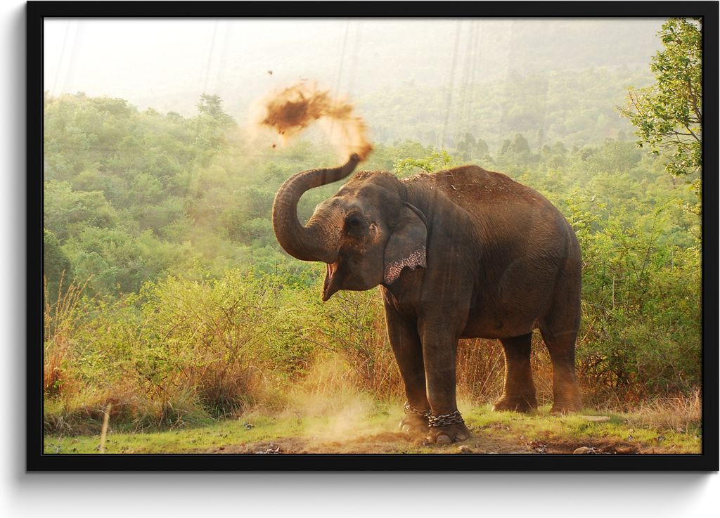 MuchoWow MuchoWow Gerahmtes Poster Elefant - Tiere - Wald - Bäume 90x60 cm - Poster mit zchwarzem Bilderrahmen - Fotorahmen - Foto-Plakat