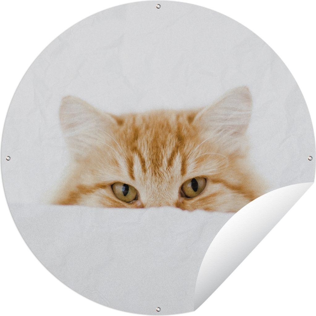 MuchoWow Gartenposter Outdoor-Poster Rund Katze - Rot - Weiß - Mädchen - Jungen - Kind Ø 90 cm Gartendeko Rundes Poster draußen