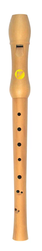 Apprendre la flûte à bec à la maison avec l'application Flute Master - 2
