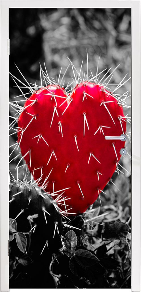 MuchoWow Türtapete Selbstklebende Türfolie Schwarz-Weiß-Foto mit einem roten herzförmigen Kaktus 85x215 cm Türposter Türaufkleber Klebefoli...