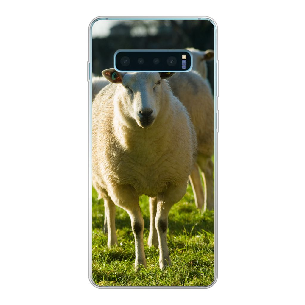 MuchoWow Handyhülle Schutzhülle Hülle für Samsung Galaxy S10 Plus Schafe - Tiere - Wolle Silikon Softcase Handy Hülle - Schutzhülle