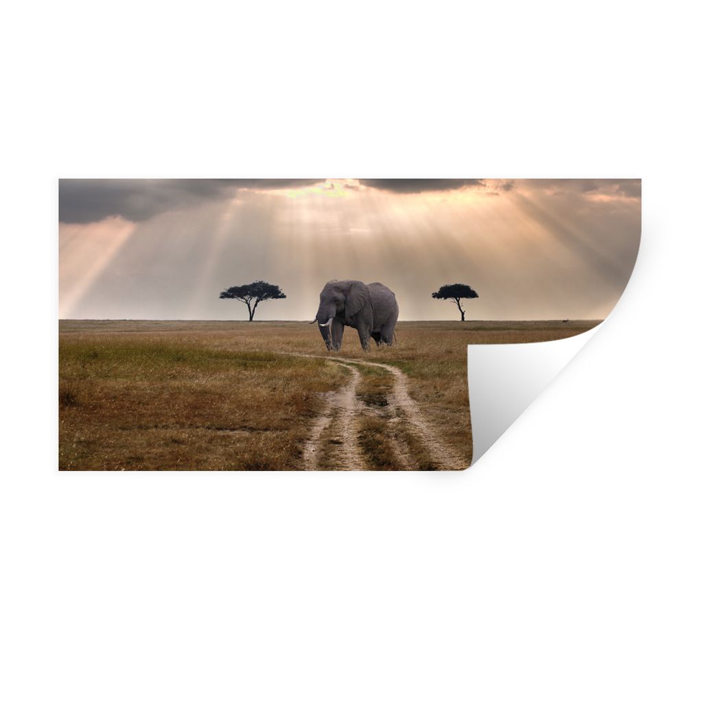 MuchoWow Wandtattoo Wandsticker Wandaufkleber Elefant - Tiere - Wiese - Sonne 80x40 cm Selbstklebend und Repositionierbar - Aufkleber