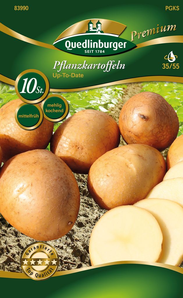 Pflanzkartoffel Up to Date (10 Stück) (hellgelb, Produktbild 