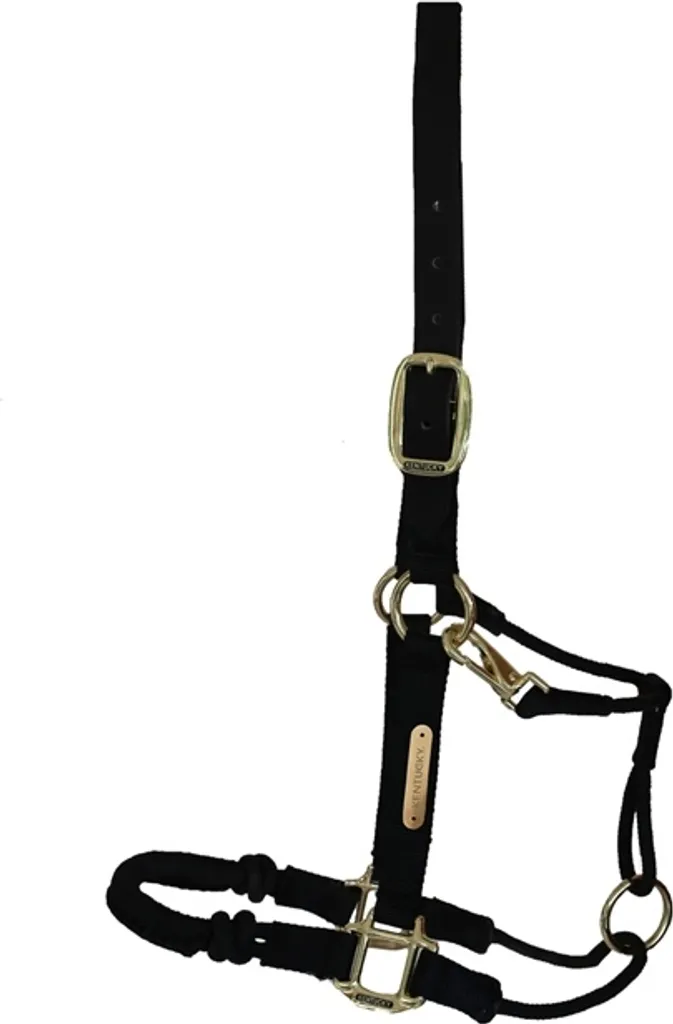 Kentucky Horsewear Licol de contrôle pour chevaux taille Cob résistant
