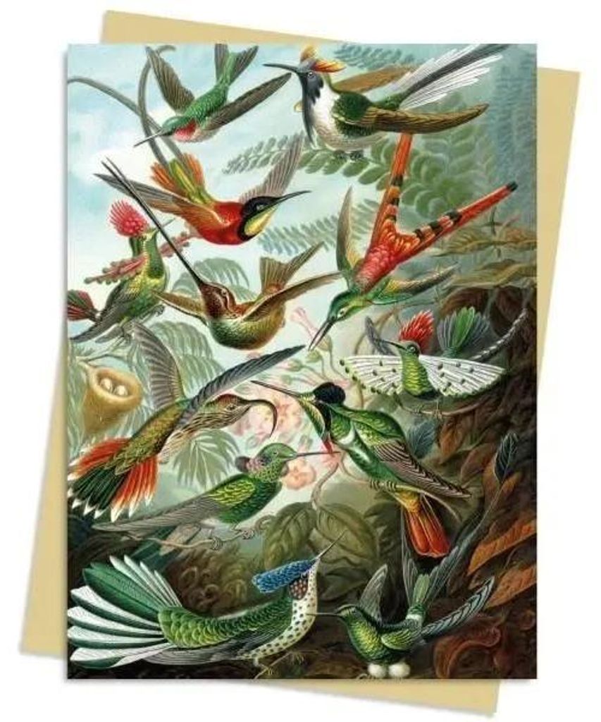Notizbuch B6 „Kolibri“ von Ernst Haeckel – Flame Tree