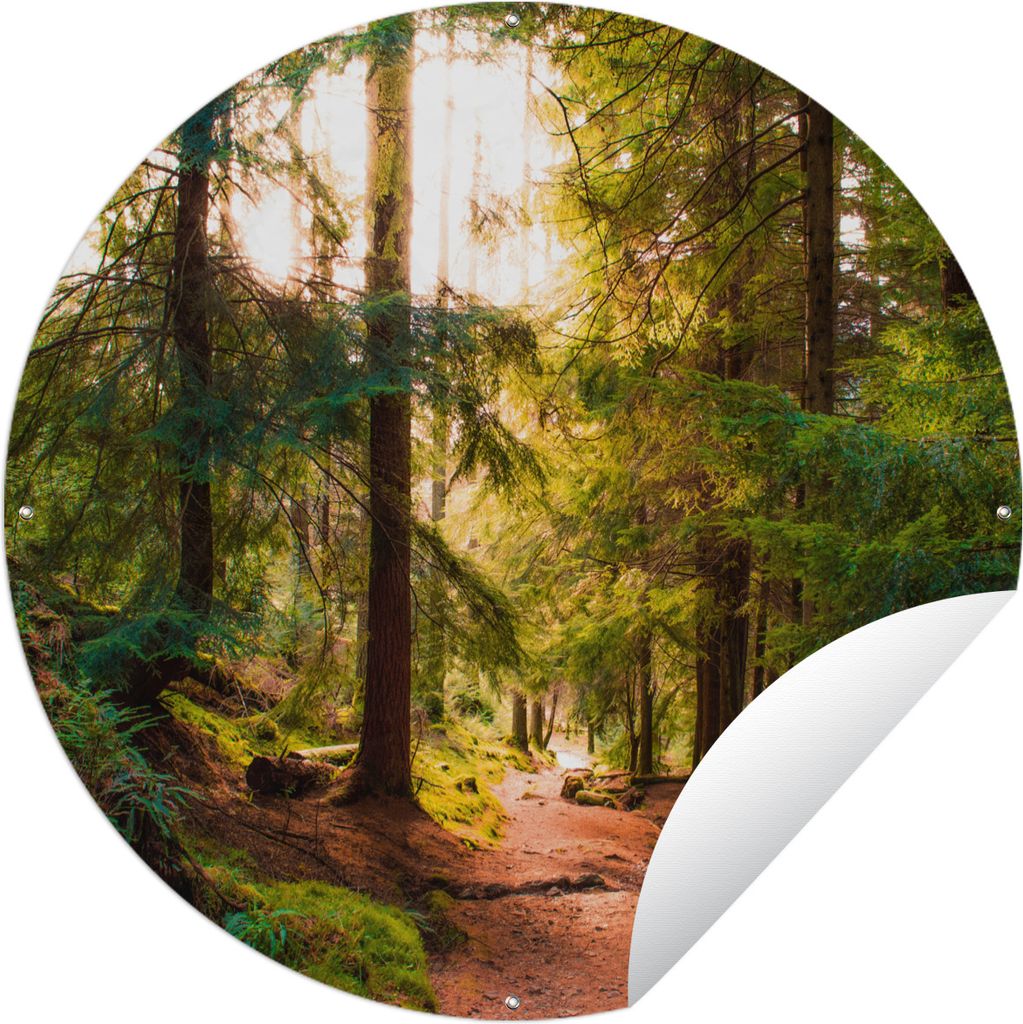MuchoWow Gartenposter Outdoor-Poster Rund Wald - Weg - Bäume - Grün - Sonne - Natur Ø 60 cm Gartendeko Rundes Poster draußen