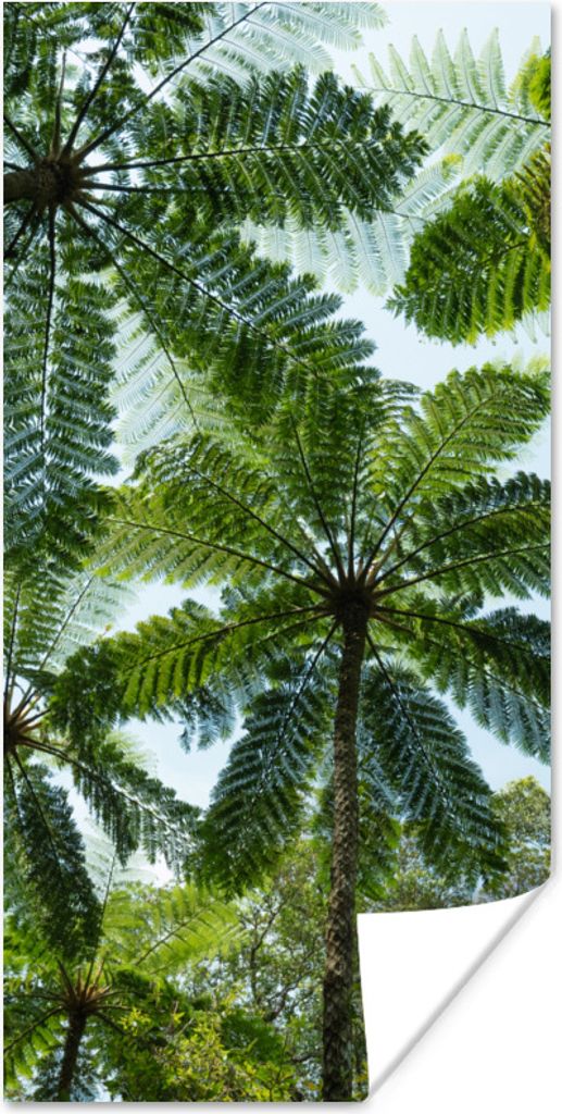 MuchoWow Poster Bäume und Blätter im Dschungel 20x40 cm - Plakat - Foto
