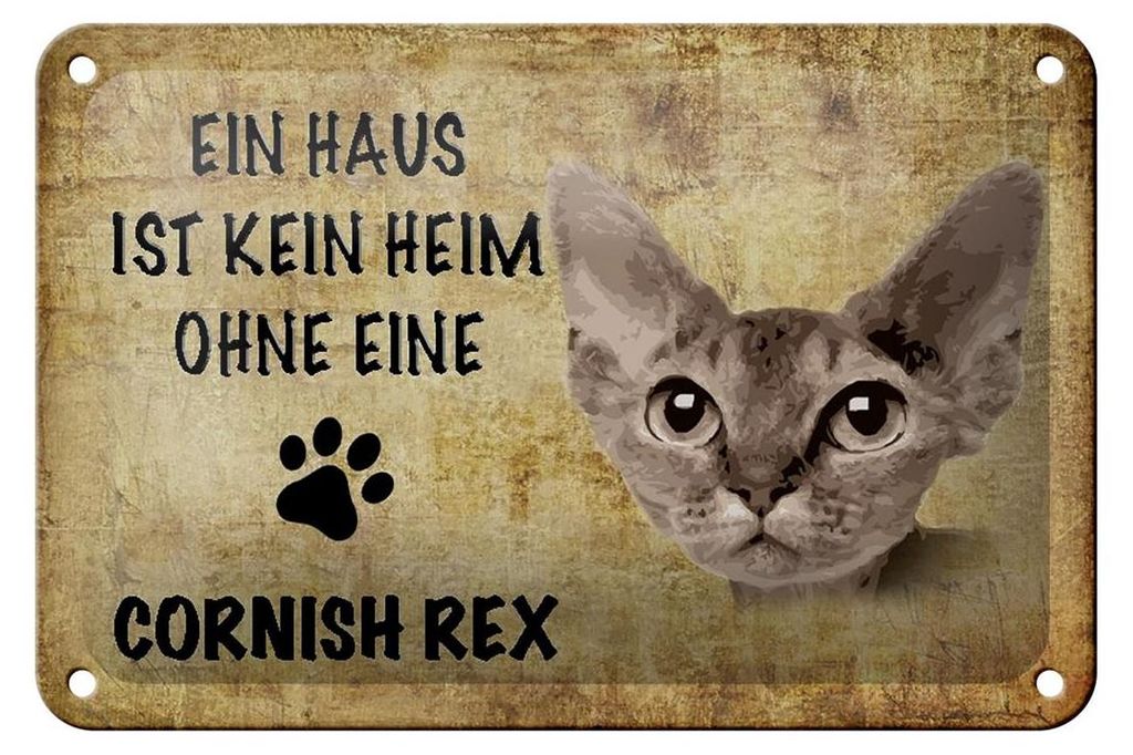Blechschild Spruch 18x12cm Cornish Rex Katze ohne kein Heim